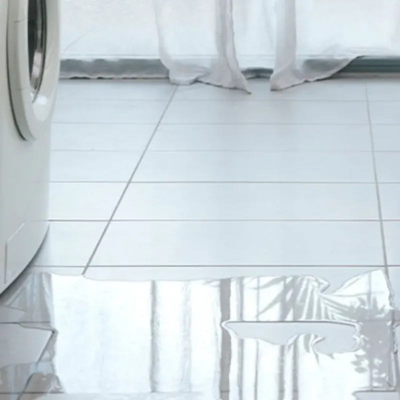 Appliance Leak Cleanup in Lake County, MN