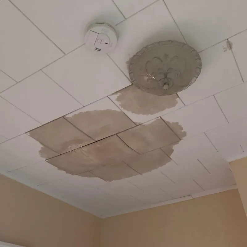 Ceiling Water Damage Repair in Lake County, MN