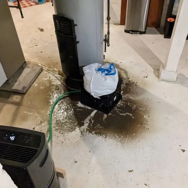 Sewage Backup Cleanup Service in Lake County, MN